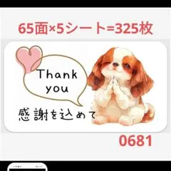 0681 サンキューシール