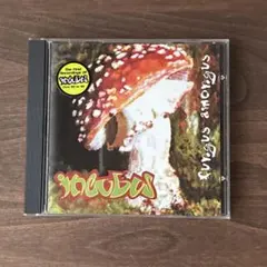 インキュバス Incubus / Fungus Amongus