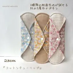 Item thumbnail for item e1898988-eb51-4467-b847-80f7c960d64a