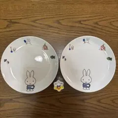 ミッフィー　LAWSON 皿　2枚セット　＆　マグネット　全3点