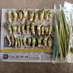生わさび 使い切りサイズ200g 農家直送 伊豆産 山葵 野菜 - メルカリ
