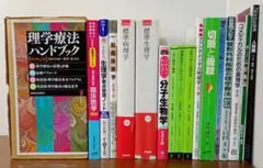 特別支援 田中ビネー知能検査V 全3冊 精神年齢 IQ TOSS アセスメント