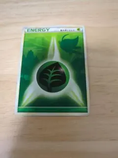 基本草エネルギー イントロパック