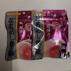 忍者めし鉄の鎧