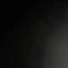 専用