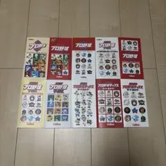 プロ野球チップス カードホルダー