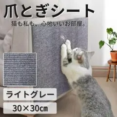 고양이 손톱깎이 시트, 손톱깎이, 손톱깎이 시트, 밝은 회색, 30 x 30