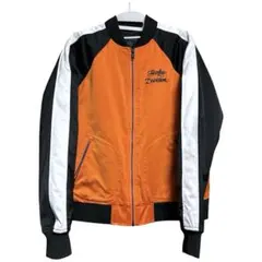 Item thumbnail for item 40665df0-4a24-4e68-b8a7-770582b03448