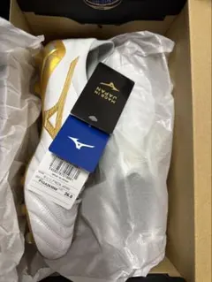 MORELIA NEO4 モレリアネオ4 26