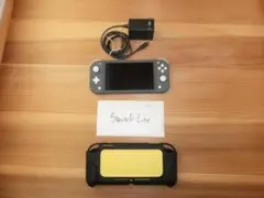 Nintendo Switch Lite グレー 完備 あつ森付 20製美品