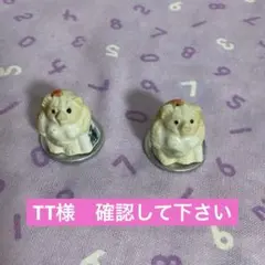 色白ガールズ　TT様ご検討中❣️