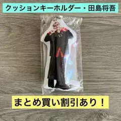 INI ポップアップ 2026 クッションキーホルダー 田島将吾