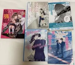 ケータイ小説文庫 野いちご スターツ出版 恋愛小説 まとめ売りのサムネイル