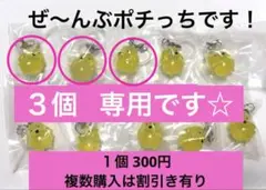ぬてゃ様専用　たまごっち　めじるしアクセサリー２　ポチっ ち　　【３個】　ガチャ