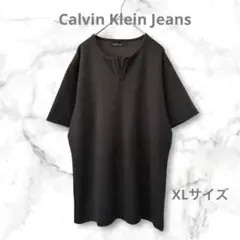 ✨カルバンクラインジーンズ　ダークブラウン ストライプ 半袖 Tシャツ　XLのサムネイル