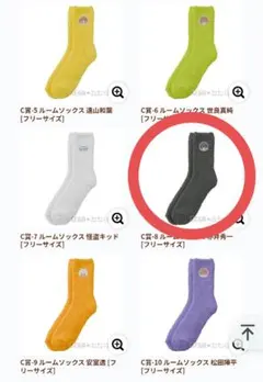 [新品]名探偵コナン♥️セガラッキーくじ　C賞　ルームソックス　赤井秀一