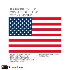 WTW 星条旗ミラー WTW 星条旗ミラー - メルカリ