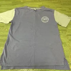 FRUIT OF THE LOOM Tシャツ 紫/クリーム色のサムネイル