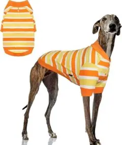 犬用パーカー スウェット　犬服　ストライプ　ウエア　ビタミンカラー　XL