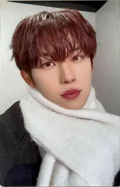 ALD1 ゴヌ ダッフルコート マフラー トレカ