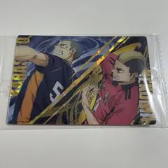 ハイキュー　ウエハース　カード　田中龍之介　山本猛虎