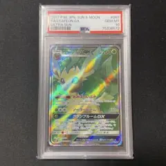 PSA10 ポケカ リーフィアGX 206/150 PSA10 リーフィアGX SSR 206/150 ポケモンカード GEM MT｜Yahoo!フリマ