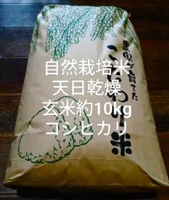玄米10キロ 無農薬、無化学肥料栽培 はざ掛け 天日干し コシヒカリ