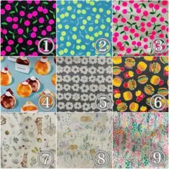 Item thumbnail for item dd4d4198-1b8f-498c-abe1-20601b41a8d7