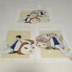 Item thumbnail for item 570a31bb-def8-470b-a3c3-6f29cefcac96