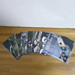 JARI様 リクエスト 2点 まとめ商品