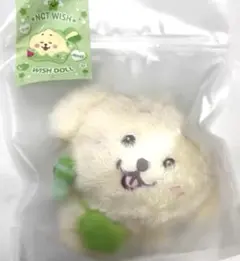 wish doll nctwish デントリバー ジェヒ 댕트리버 q2