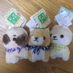 まるたま 豆しば 三兄弟4　豆太郎　さすけ　パグ兵衛