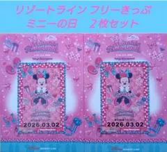 【Miyu様専用とさせていただきます】リゾートラインフリーきっぷ ２枚セット ①