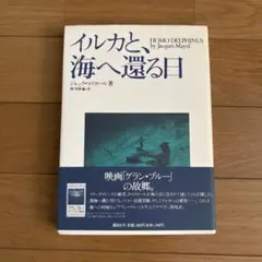 イルカと、海へ還る日