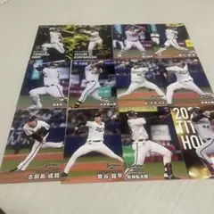 Item thumbnail for item a38f1f3b-ed30-4594-ae20-5b060689b546