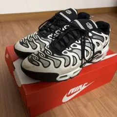 う*ん様 Nike Air Max Plus ホワイト/ブラック