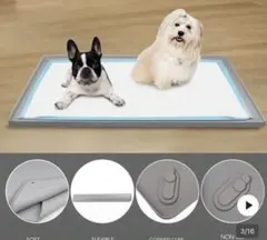 Item thumbnail for item 7621384c-254b-44e0-8a97-97a227070ad3