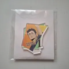 Item thumbnail for item 56c95120-102f-4635-9186-5ab7601e120c