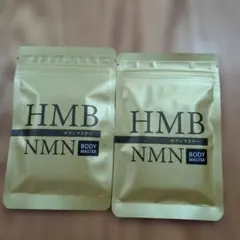 BODY MASTER HMB NMN ボディマスター 30包入り 2袋 - メルカリ