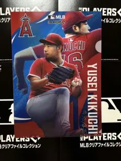 Item thumbnail for item 35735860-b32b-4a35-85eb-b93bea35eb3c