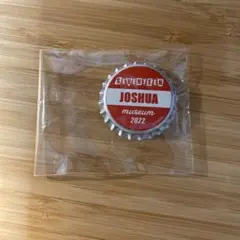 SEVENTEEN MUSEUM 王冠マグネット ジョシュア