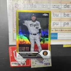 Item thumbnail for item 7ede8cd3-64b0-4d53-ae90-13e0e3fbdaf5