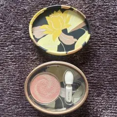 ポール&ジョー　アイカラー