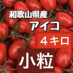 【限定1箱】小粒！！和歌山県産ミニトマトアイコのサムネイル