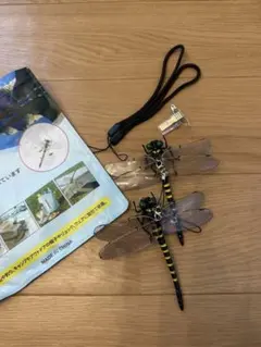 Item thumbnail for item e87f2750-e84e-4ac1-bf1b-3db1fc55780e