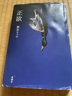 朝井リョウ　小説「正欲」のサムネイル