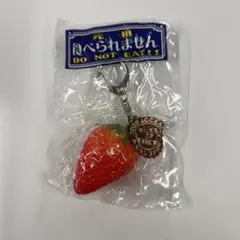 元祖　さんぷる工房　いちご　キーホルダー　食品サンプル　群上八幡 新品未使用