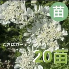 久美ちゃん様 リクエスト 4点 まとめ商品