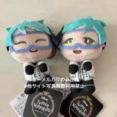 ツイステ　実験着　&you モアプラス　マスコット　フロイド　ジェイド