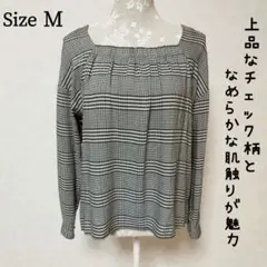 【美品】 エージーバイアクアガール チェック柄 長袖 カットソー ブラウス Mのサムネイル